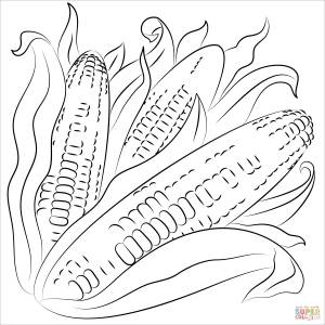 Раскраска Кукуруза