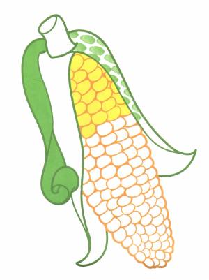 Кукуруза раскраска для детей