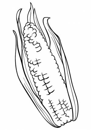 Раскраска Кукуруза