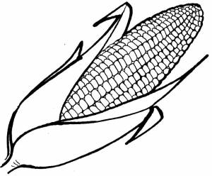 Кукуруза раскраска для детей