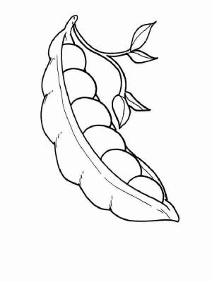 Раскраска Горох