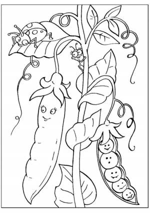 Раскраска горох