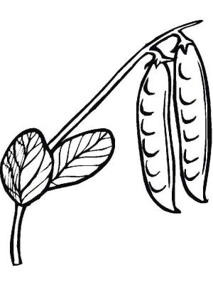 Раскраски Горох
