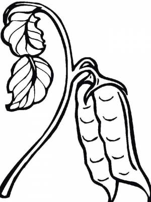 Раскраска Горох черно белая для мальчиков