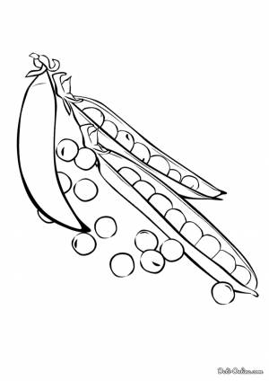 Раскраска Горох