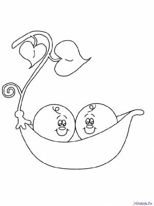 Раскраска горох 6