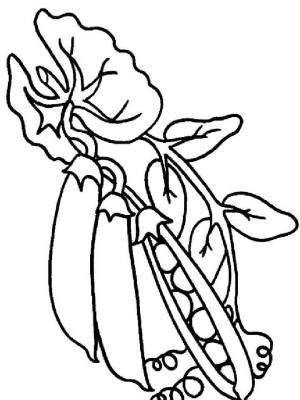 Раскраски Горох   в формате