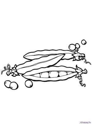 Раскраски горох