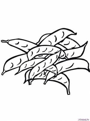 Раскраски горох