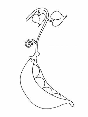 Раскраска горох