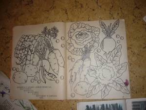 Детские книжки СССР раскраска