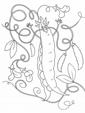 Раскраски Горох для детей