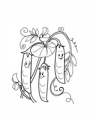 Раскраска Горох