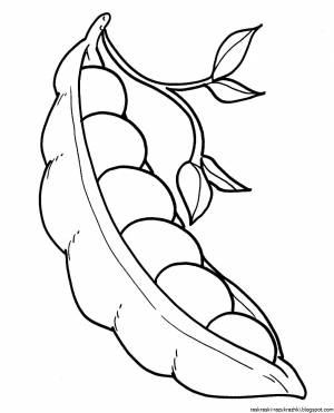 Раскраска горошек для детей