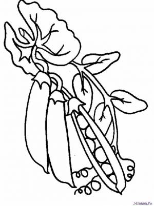 Раскраска горошек