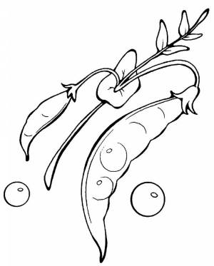 Раскраски Горох для детей