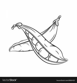 Раскраски Горох для детей