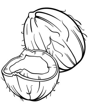 Раскраска Кокос