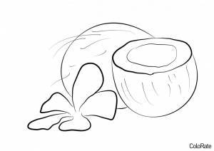 Раскраска Симпатичные кокосы