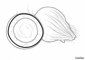 Раскраска Кокос и его половинка