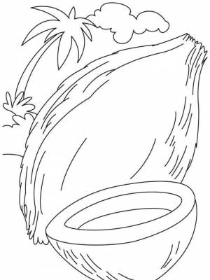 Картинка Кокос раскраска  для мальчиков