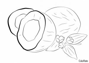 Раскраска Белый кокос