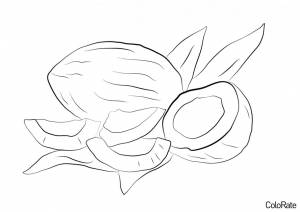 Раскраска Осколки кокоса