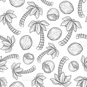 Кокос раскраска