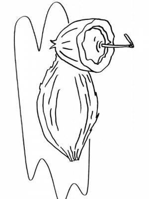 Раскраска Кокос картинка