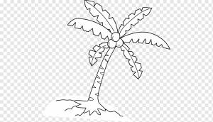 Книжка-раскраска Coconut Arecaceae Tree Drawing, материал кокосовых листьев, лист, ветка, симметрия png