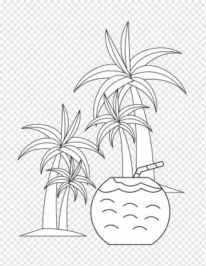 раскраска кокос png