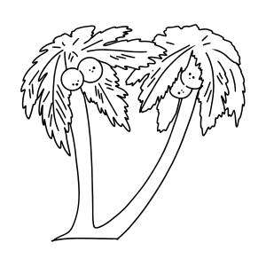 Раскраска кокос пальма ♥ Онлайн и !