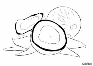 Раскраска Свежие кокосы