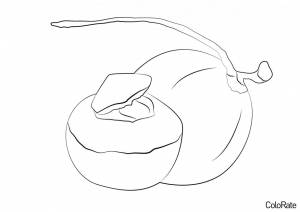 Раскраска Сентябрьский аромат кокоса