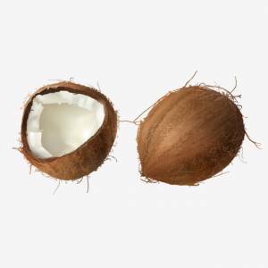 целый и наполовину сломанный кокос PNG , кокос, Вектор, Изолированные PNG картинки и пнг рисунок для й загрузки