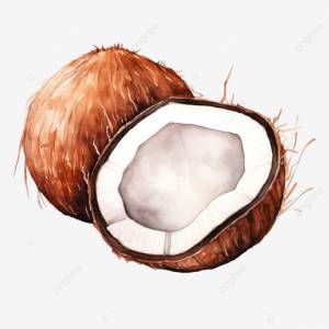 кокосовая акварель PNG , кокос, Азия, азиатский PNG рисунок для й загрузки