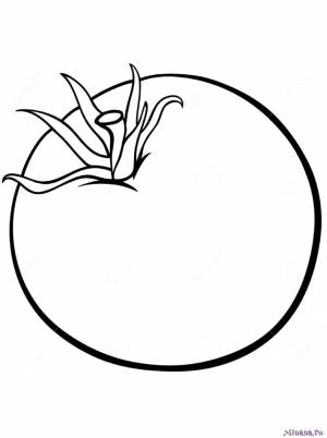 Раскраска помидор 1