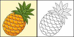 Ананас фрукты раскраски страница цветные иллюстрации