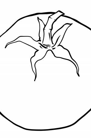 Раскраска Помидор для детей