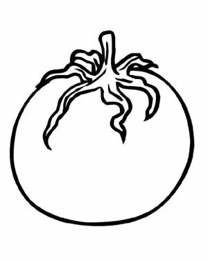 Раскраска Помидор