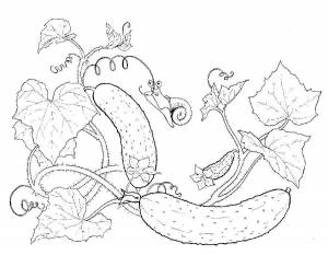 Раскраска Огурец