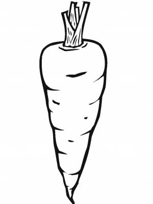 Раскраска Морковь 2