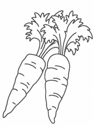 Раскраска морковь