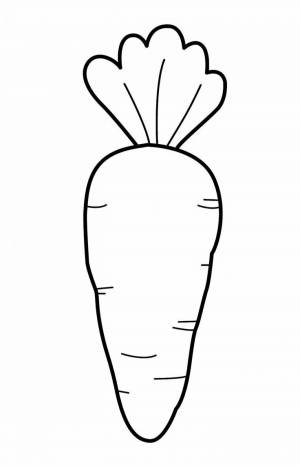 Раскраски Морковь шаблон