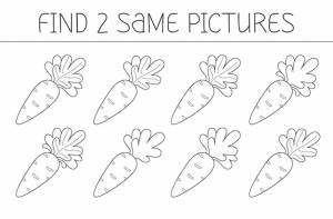 Найди две картинки