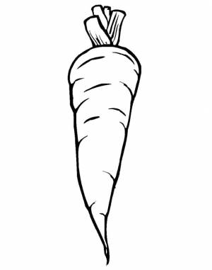 Раскраски морковка, Раскраска морковка для детей овощи
