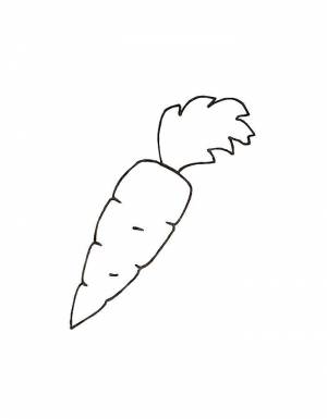 Раскраски Раскраска Морковка Раскраски для малышей детские