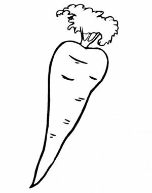 Раскраска морковь