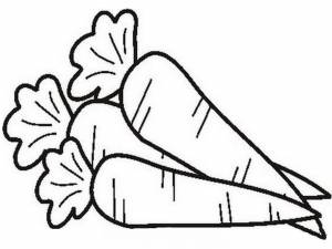 Раскраска Морковка