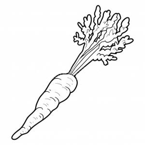 Раскраски Раскраска Морковь Овощи овощи